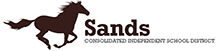 Sands Homecoming